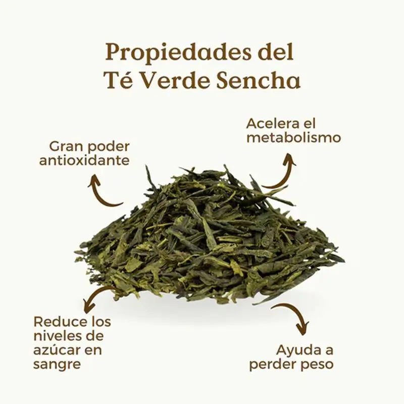 Replantea Bio Sencha Grüner Tee, 100 g