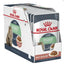 Royal Canin Adult Digest Sensitive Pouch Box 12X85Gr, wet food for cats