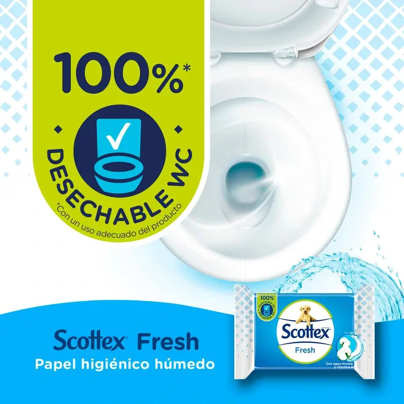 Scottex Fresh Wet Toilettenpapier, 38 Stück.