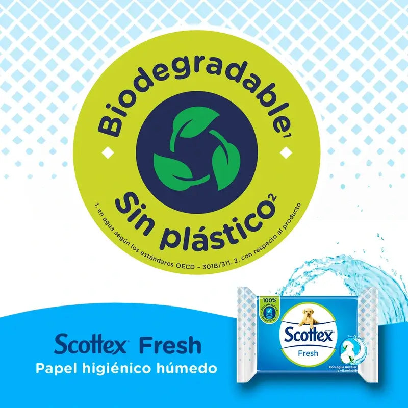 Scottex Fresh Wet Toilettenpapier, 38 Stück.