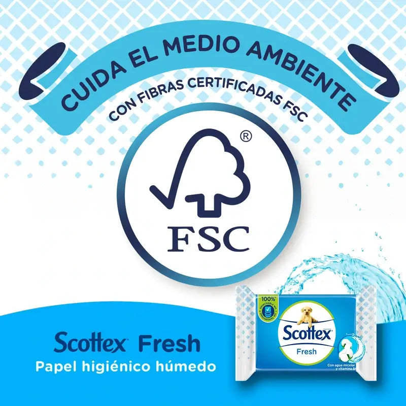 Scottex Fresh Wet Toilettenpapier, 38 Stück.