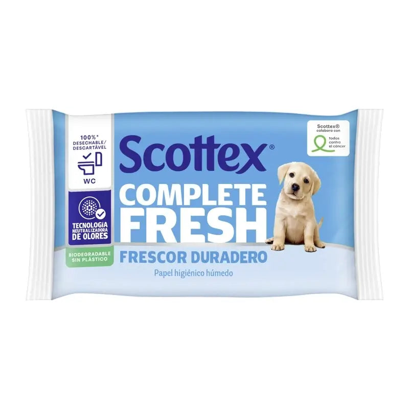 Scottex Fresh Wet Toilettenpapier, 38 Stück.