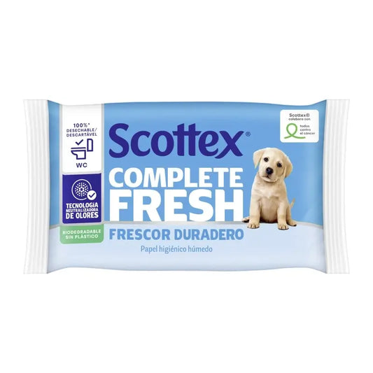 Scottex Fresh Wet Toilettenpapier, 38 Stück.