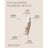 Sensilis Upgrade Make Up Lift Effekt Creme Make Up 05 Noisette 30 ml