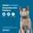 Seresto Katzenhalsband Pack 3 Stück