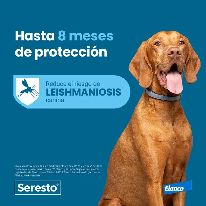 Seresto Hundehalsband +8Kg Large Pack 2 Stück