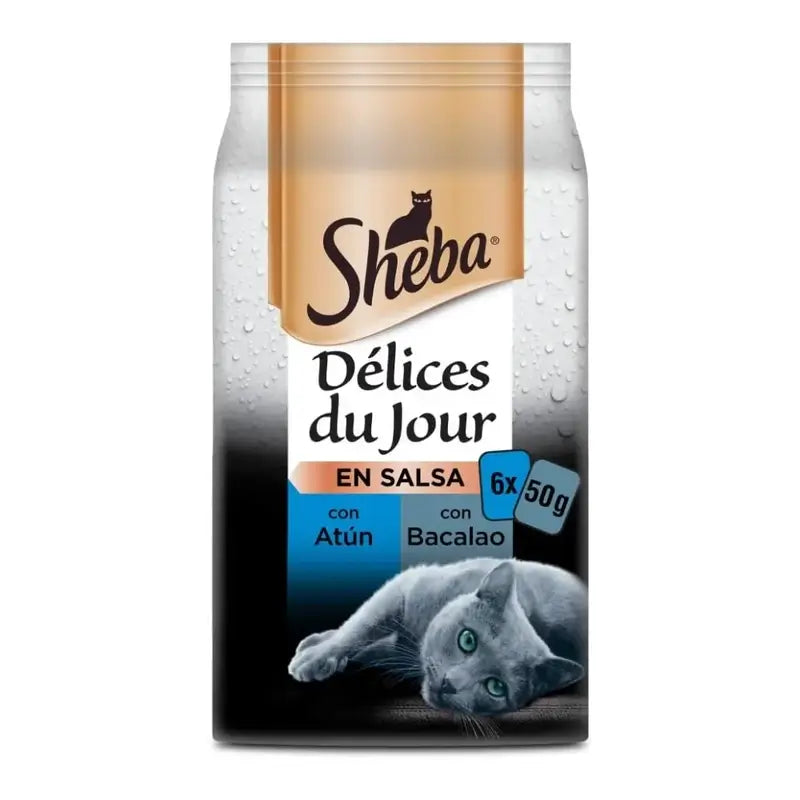 Sheba Delices Du Jour Fisch für Katzen 12X6X50Gr