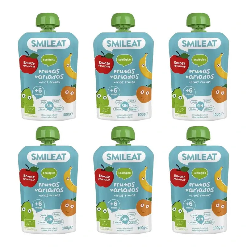 Smileat Pouch – Gemischte Früchte 100 g, 6er-Pack