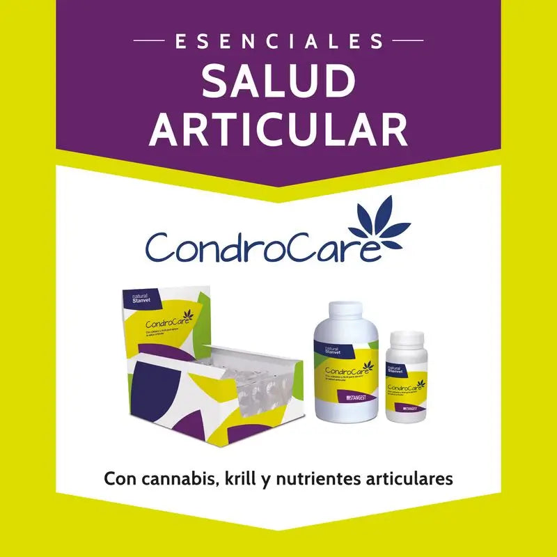 Stangest Chondrocare 30 Tabletten