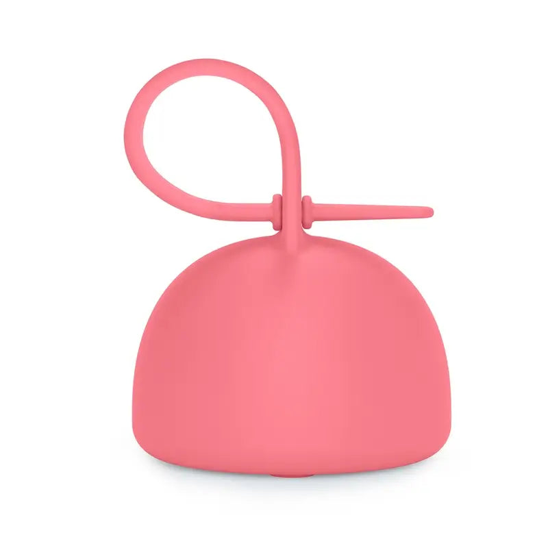 Suavinex Silikon Schnullerhalter mit Griff, +0 Monate, Fuchsia
