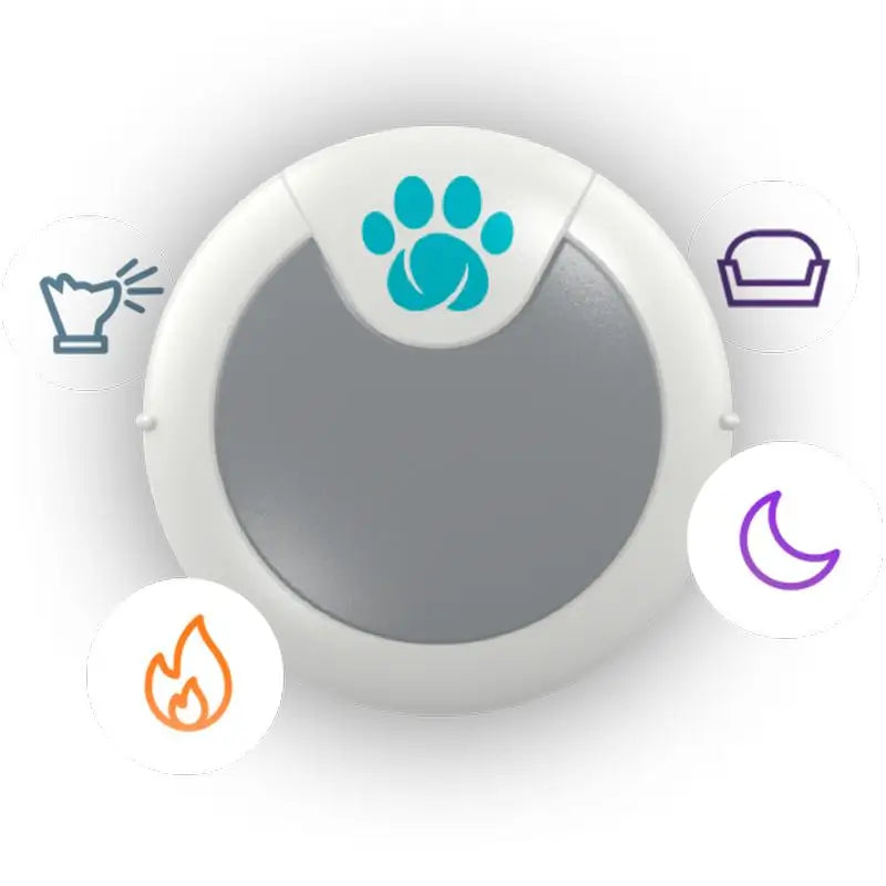 Sure PetCare Animo - Verhaltens- und Aktivitätsmonitor für Hunde.