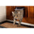 Sure PetCare SureFlap- Brauner Mikrochip Katzenklappe