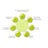 Symbiopharm Prosymbioflor Immun-Tropfen, 50 ml