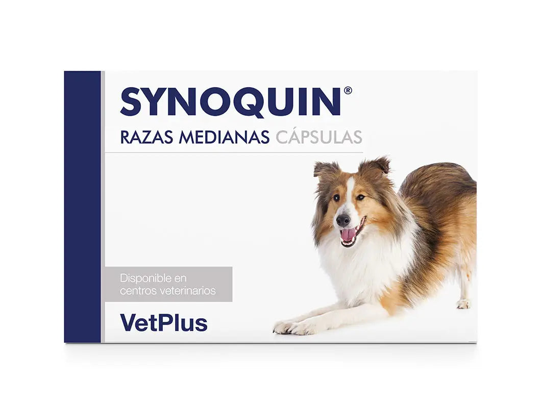 Synoquin Medium Breed 120 Kapseln