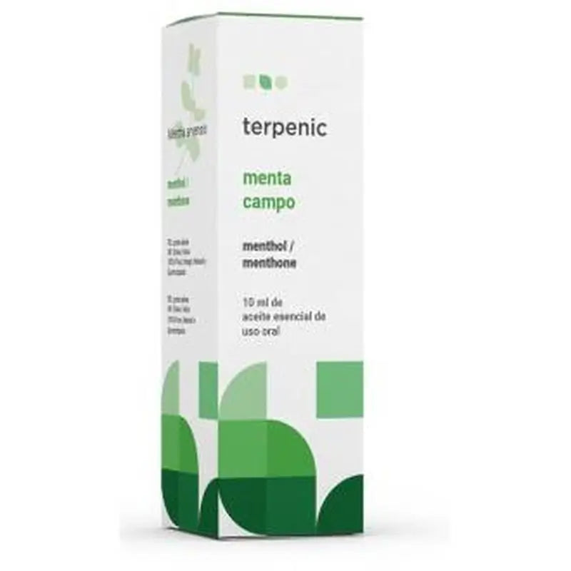 Terpenic Pfefferminz Feld ätherisches Öl 10Ml