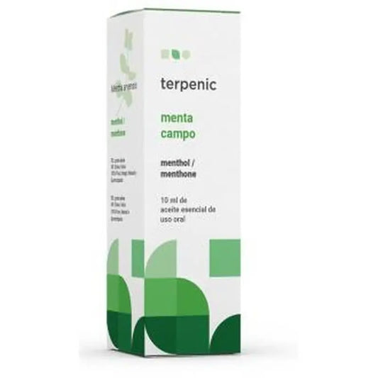 Terpenic Pfefferminz Feld ätherisches Öl 10Ml