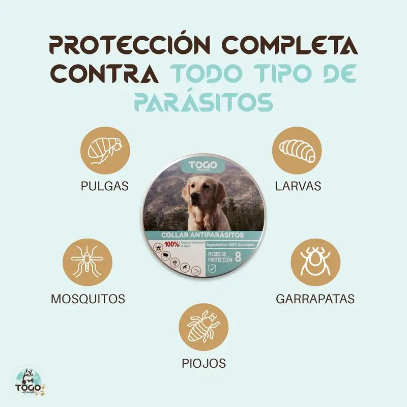 Togo Anti-Parasiten-Halsband für Hunde aller Größen - Weiß