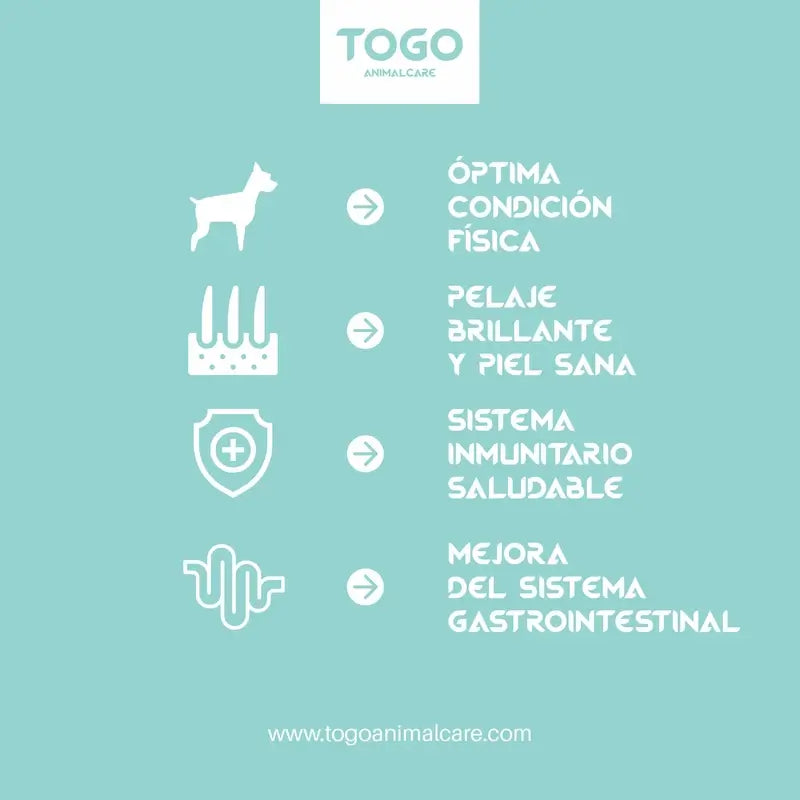 Togo-Schweinefleisch-Medaillon-Snacks, 60 Gramm