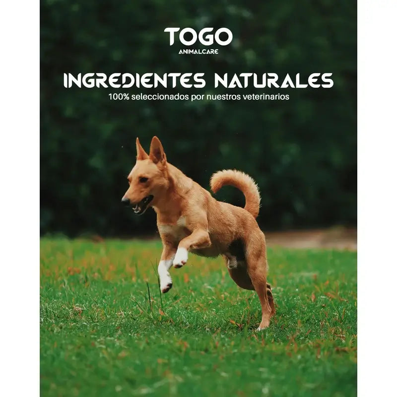 Togo Naturfutter mit Lachs, hypoallergen, 15 kg