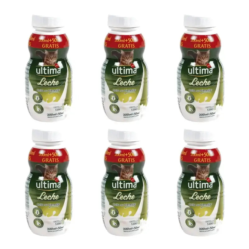 Ultima Katzen- und Kätzchenmilch, 250 ml, 6er-Pack