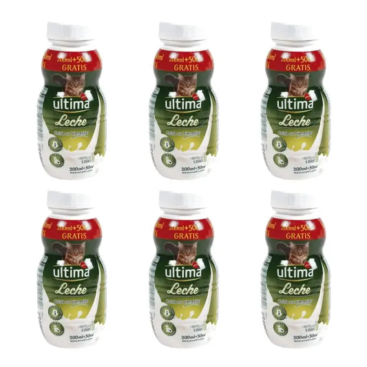 Ultima Katzen- und Kätzchenmilch, 250 ml, 6er-Pack