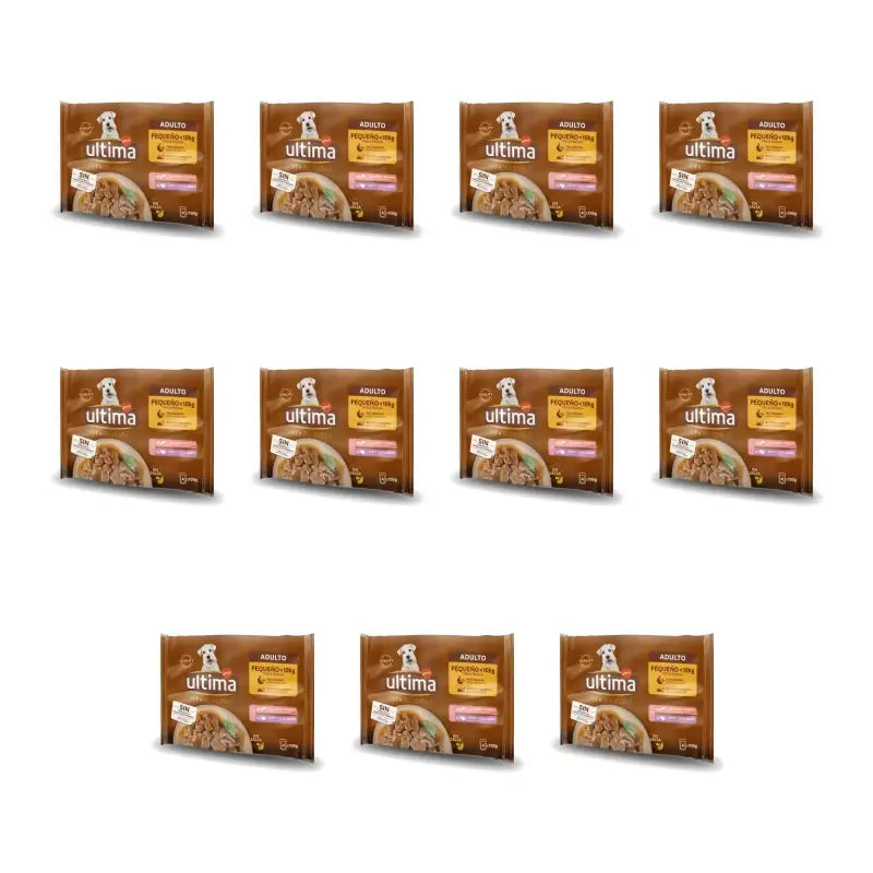 Ultima Mini Lachs und Truthahn, 100 g, 11er-Pack