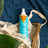 Valquer Sunscreen Sonnenschutz Kapillare, 300 ml