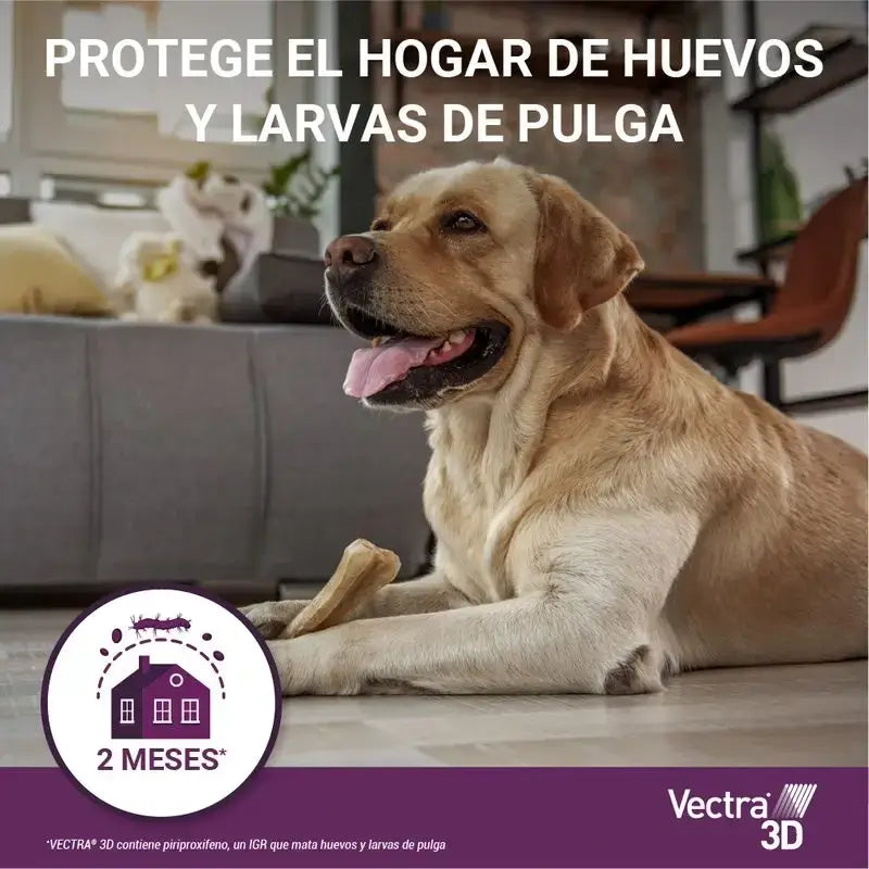 Vectra 3D Hund 1,5-4 Kg, Pack 2 x 3 Pipetten