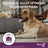 Vectra 3D Hund 25-40 kg, 3 Pipetten