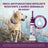 Vectra 3D Hund 4-10 kg 3 Pipetten