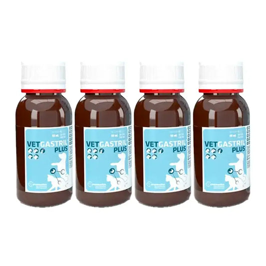 Vetgastril Plus Magenschutz für Hunde und Katzen, Packung 4 x 50 ml