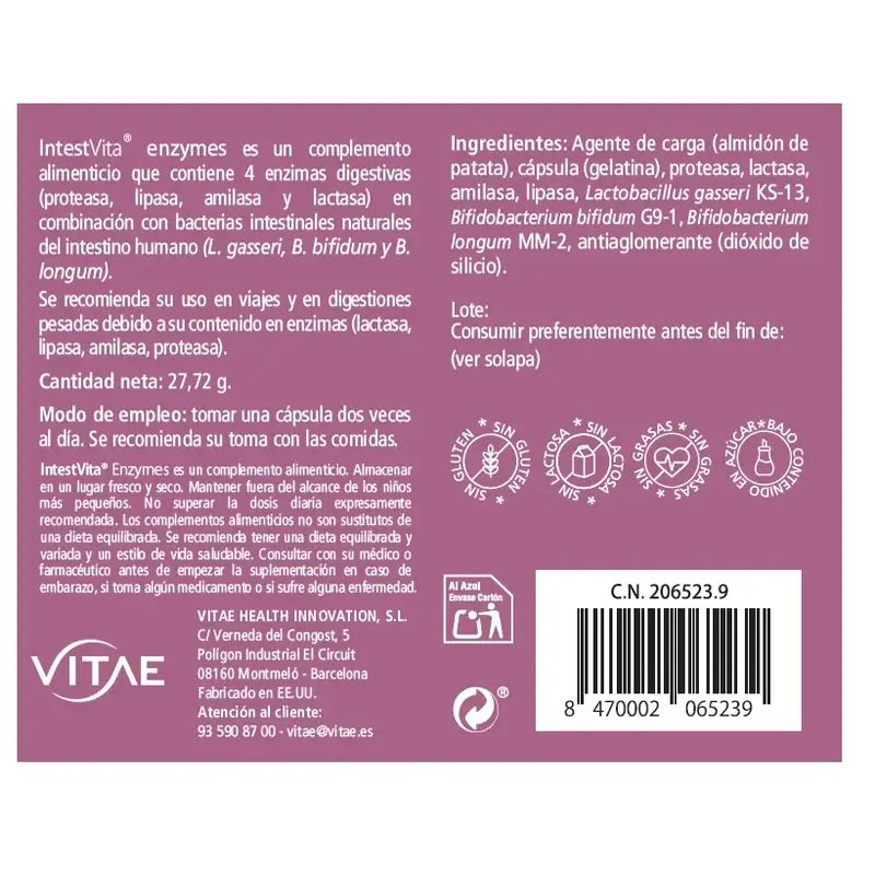 VITAE IntestVita Enzyme, 60 Kapseln