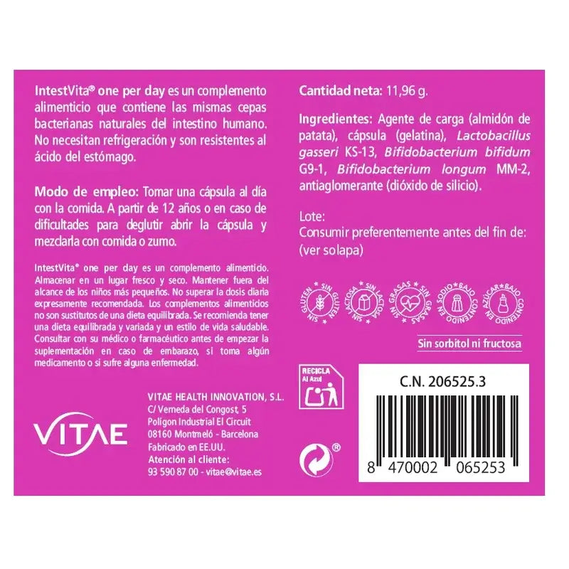 VITAE IntestVita Eine pro Tag, 15 Kapseln