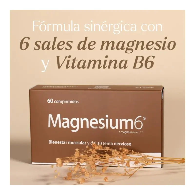 Magnesium6 120 Tabletten – Mit 6 Magnesiumsalzen, Vitamin B6 und Taurin