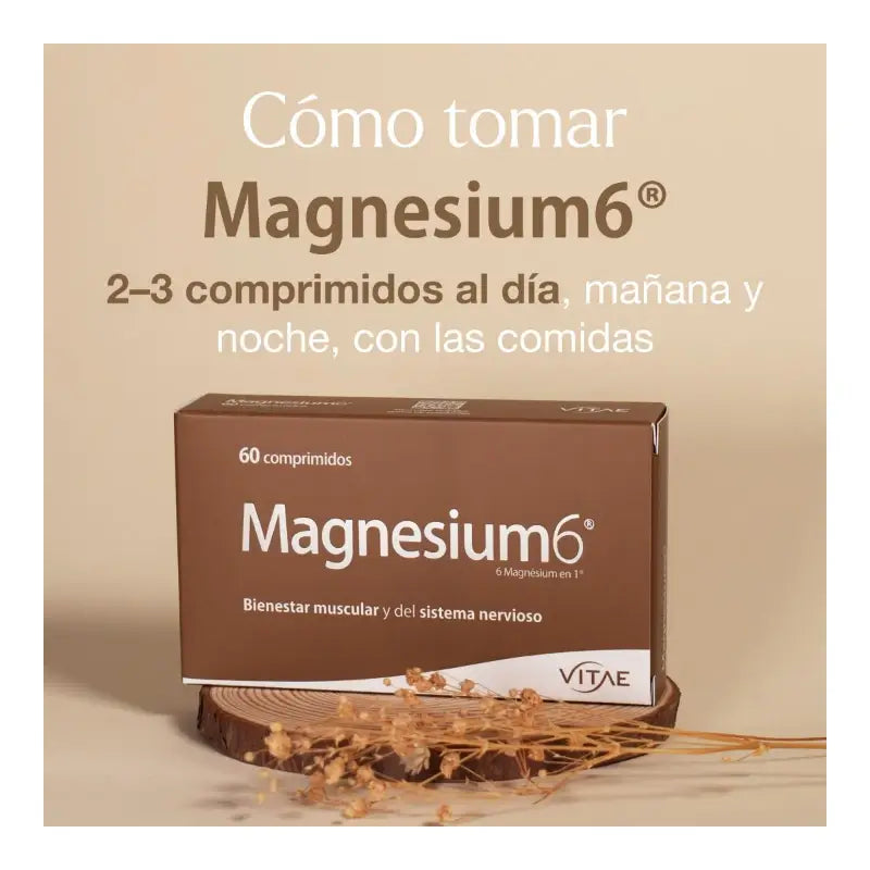 Magnesium6 120 Tabletten – Mit 6 Magnesiumsalzen, Vitamin B6 und Taurin