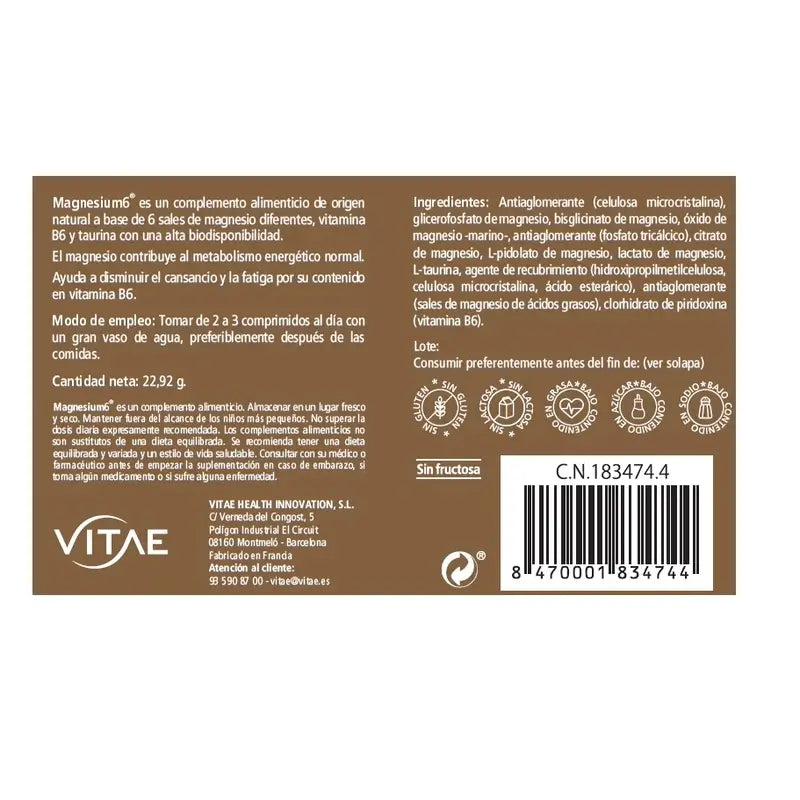 VITAE Magnesium6, 20 Tabletten