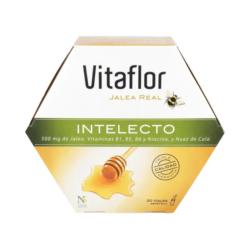 Vitaflor Intellect 20 Fläschchen