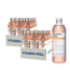 Vitamin Well Pack Antioxidans Pfirsich, 24 Einheiten X 500 Ml