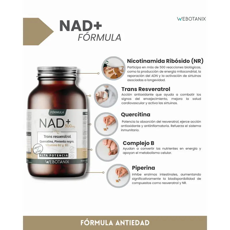Webotanix Natrium+Resveratrol-Formel, 60 Kapseln