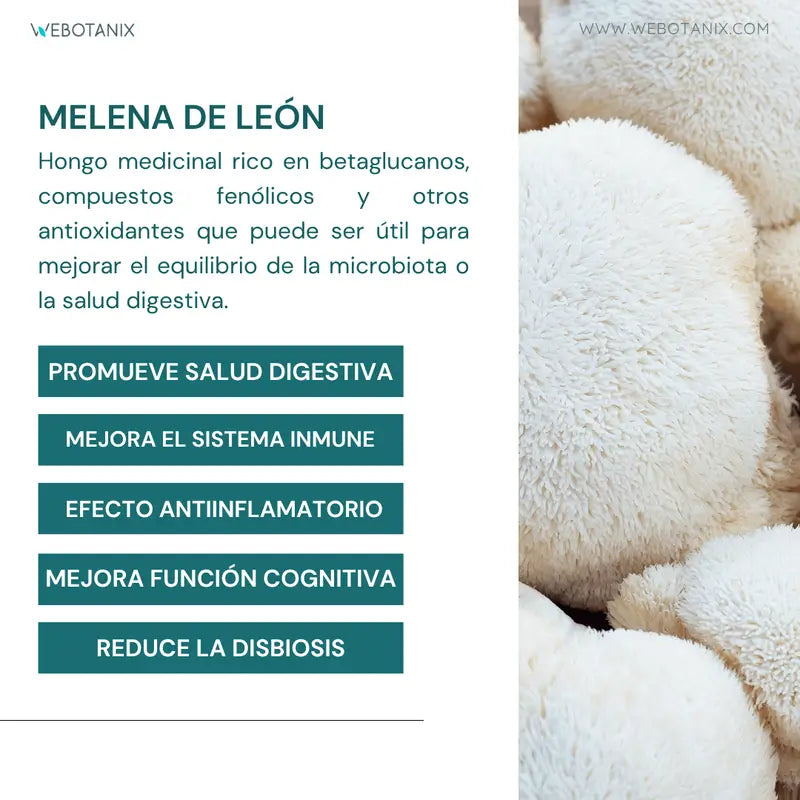 Webotanix Probiotax Microbiota, 60 Kapseln
