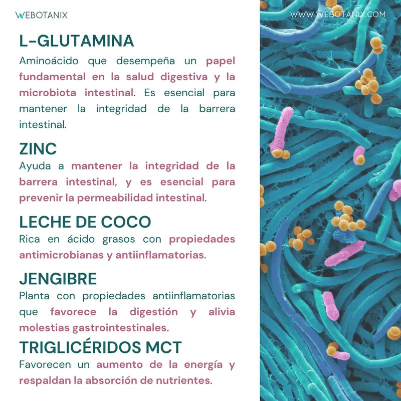 Webotanix Probiotax Microbiota, 60 Kapseln