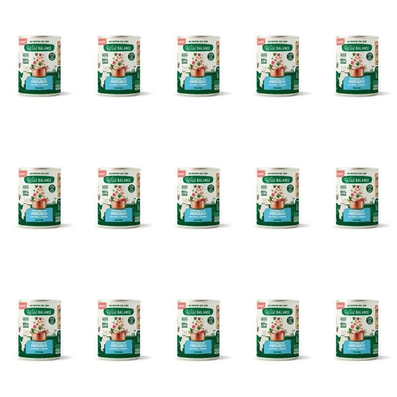 Wild Balance Doseneintopf mit Puten- und Rindfleisch für Hunde, 400 g, 15er-Pack