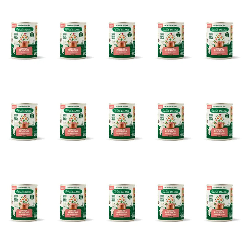 Wild Balance Dosenfischeintopf mit Lachs, Schweinefleisch und Gemüse für Hunde, 400 g, 15er Pack