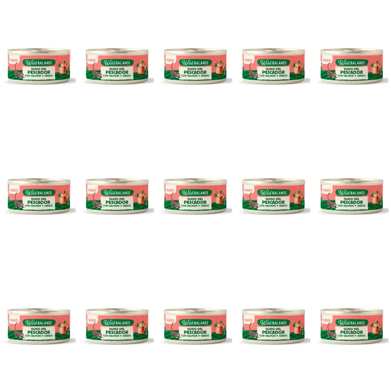 Wild Balance Traditional Ragout Dose mit Rindfleisch, Huhn und Gemüse für Katzen, 80 g, 15er-Pack