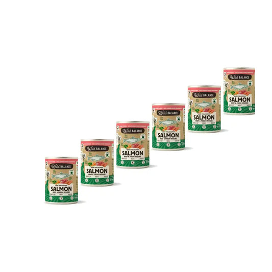 Wild Balance Dosenlachs & Rindfleisch mit Gemüse für Hunde, 400 g, 6er-Pack