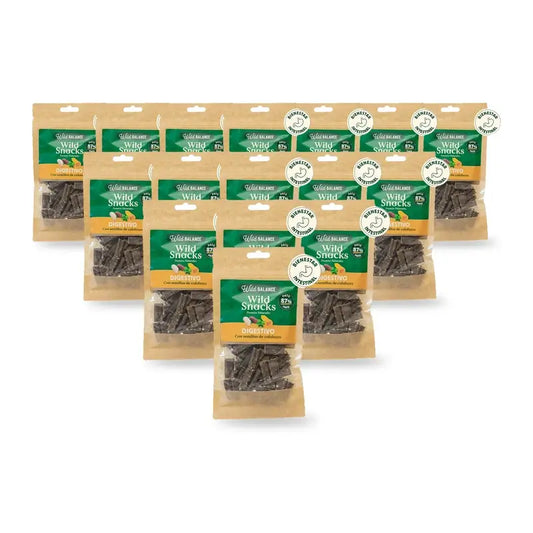 Wild Balance Wild Digestive Snack - Kürbiskerne, 75 Gramm, 12er-Pack