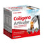 Ynsadiet Colageno Articular 20 Sachets Zentrum, 20 Sachets