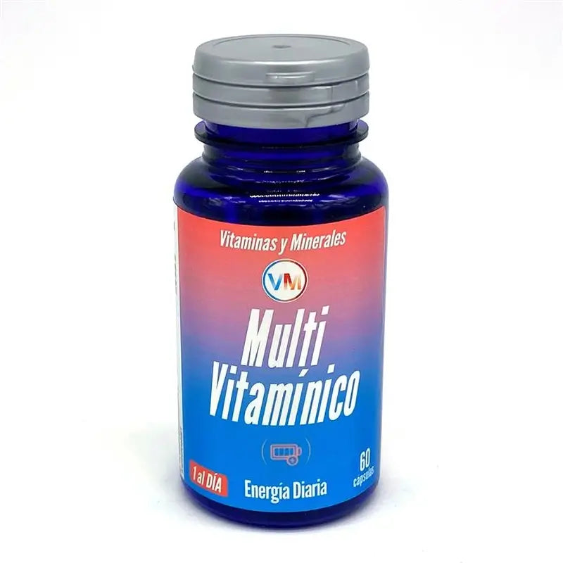 Ynsadiet Multi Vitamin, 60 Kapseln