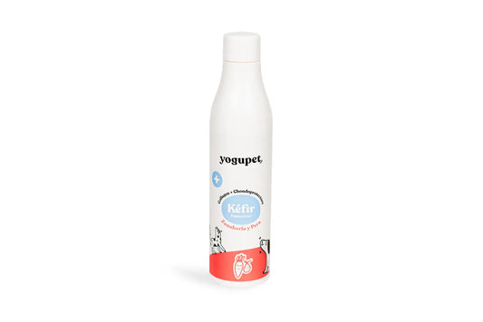 Yogupet Kefir entzündungshemmend Birne und Karotte 200Ml
