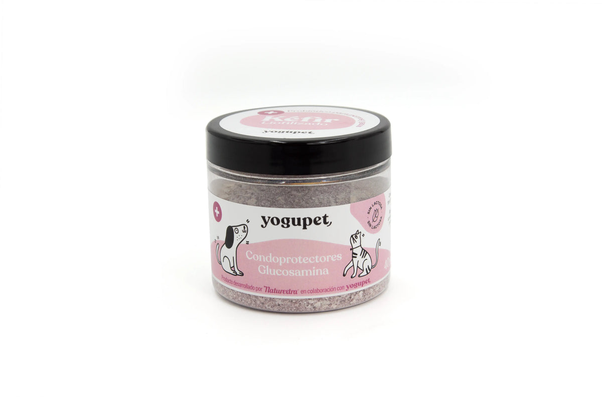 Yogupet Kefir Lyophilisiert Condoprotec. Und Glucosamin 40Ml